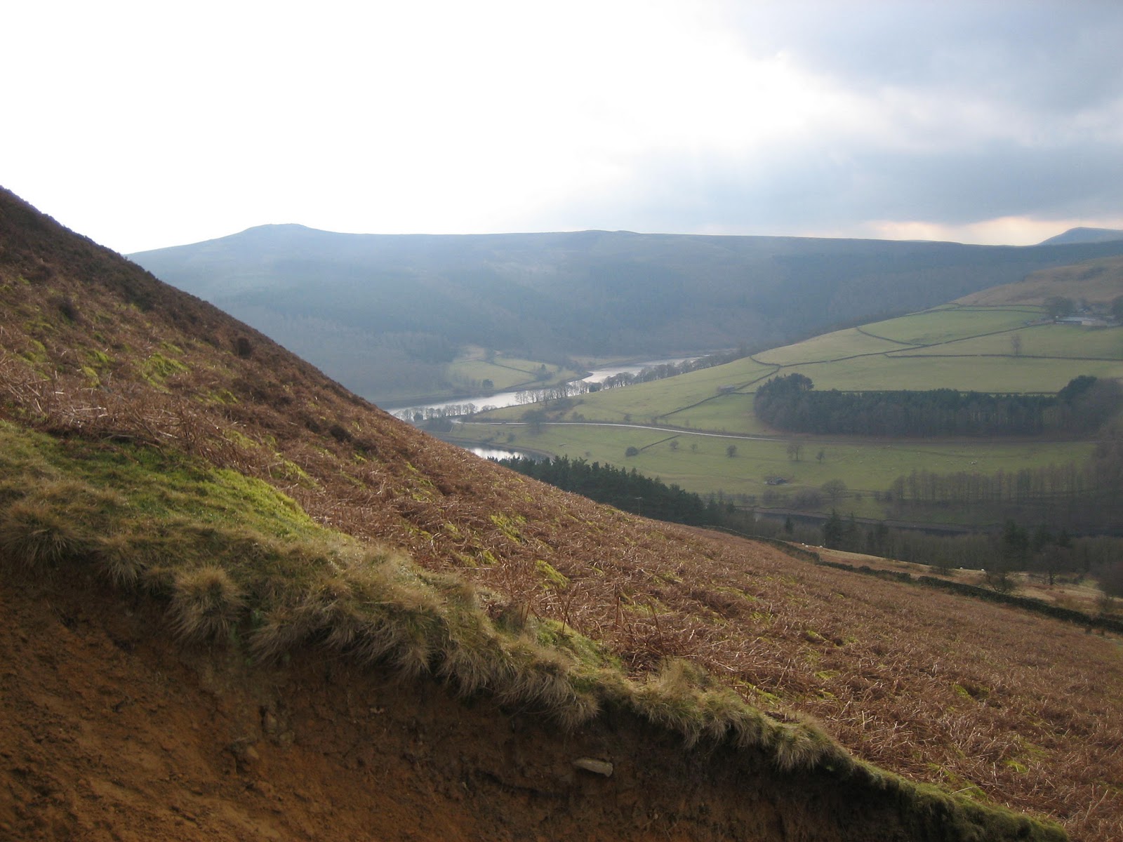 My journey to black belt Partnering someone for a black belt grading...