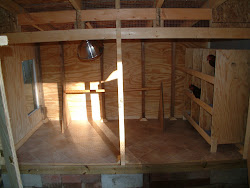 coop boxes nest chicken spivey seem feature bird window chickens