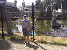 Tar Pits