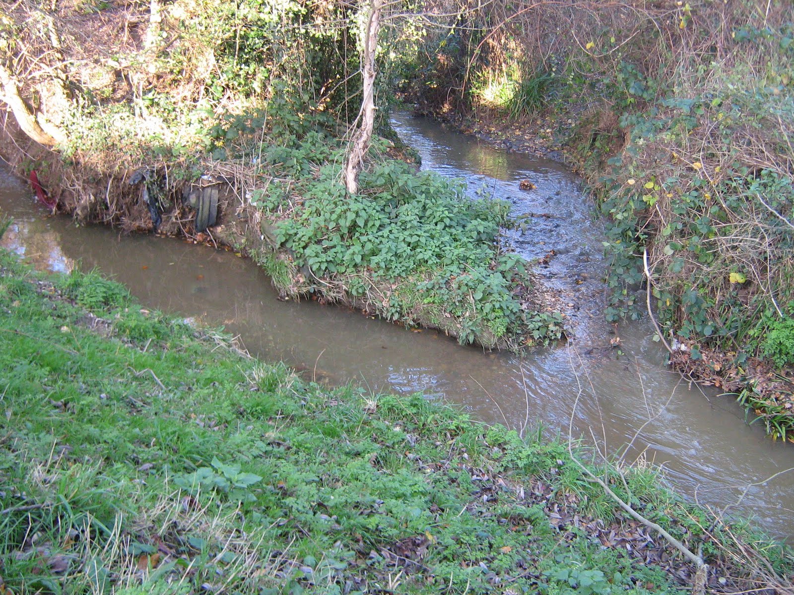 Forest Conservation Epping Forest Conservation Project