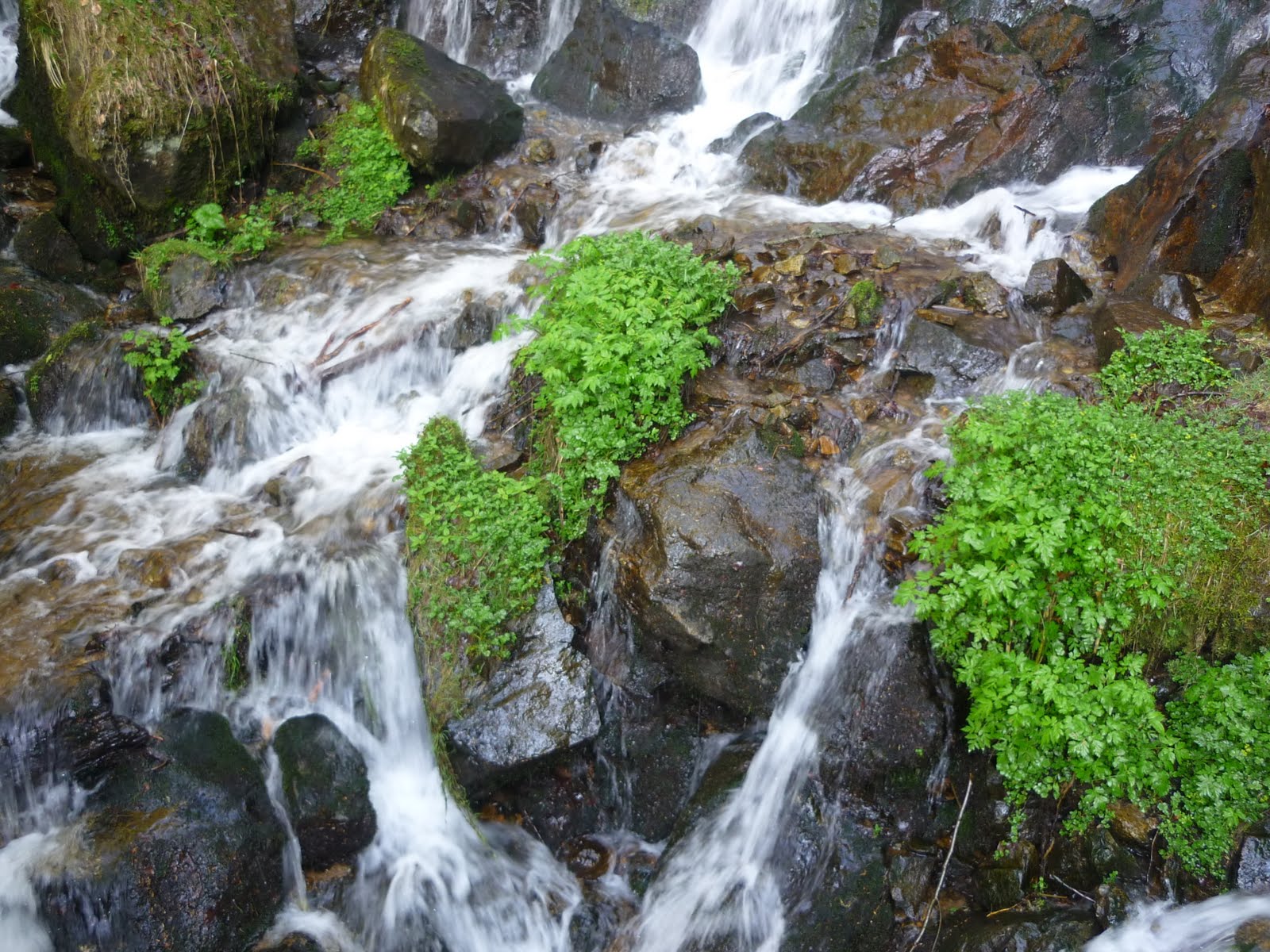 émotions-nature: LA CASCADE DE L'ANDLAU au HOWALD (bas-rhin)