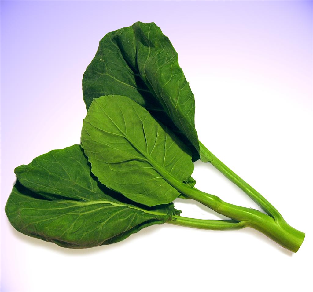 berita terbaru adalahPenyerbukan Tanaman - TOPIK RAKYAT