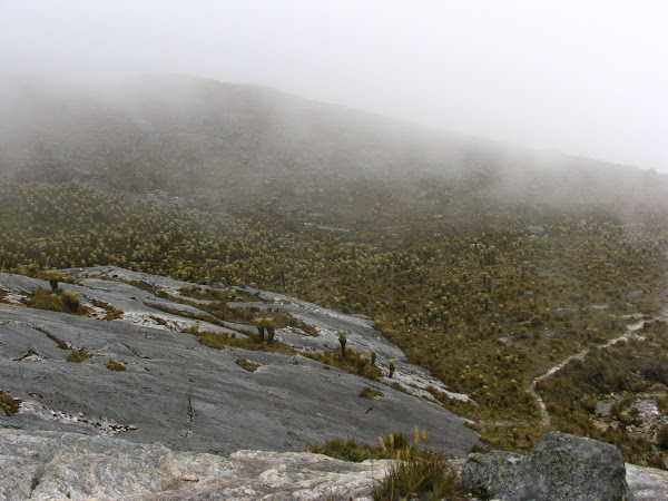 Montaña