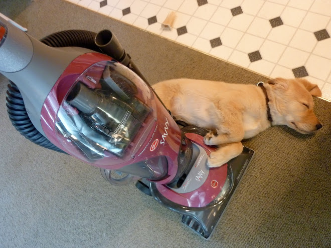 Sully and the vacuum