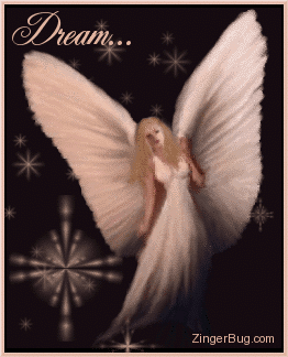 有梦有爱 我の世界~♥: LoVe To Be DreAm AnGeL♥♥♥