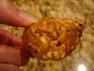 Hand holding one High Protein Almond Butter Ball showing side