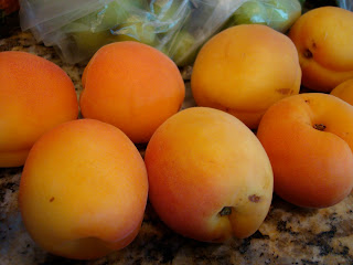 Apricots on countertop