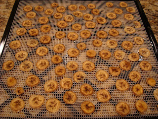 Finished dehydrated banana slices on dehydrator tray