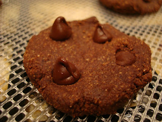 Close up of finished Raw Vegan Chocolate Chocolate-Chip Cookies on dehydrator tray