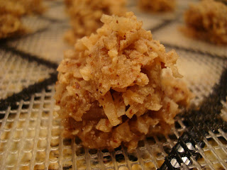 Vegan Blondie Macaroon on dehydrator tray