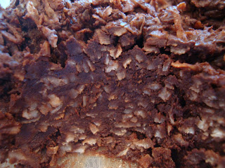 Up close of Raw Vegan Chocolate Coconut Snowball mixture