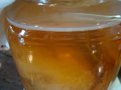 Thickening of skin on top of kombucha in jar