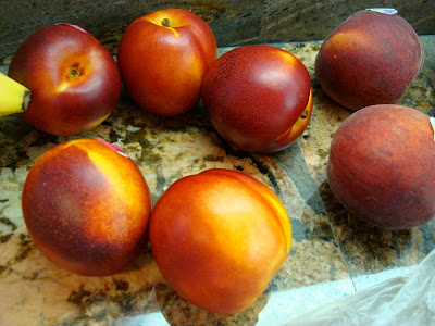 Fresh fruit on countertop 