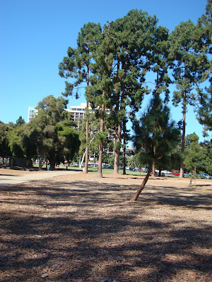 Park with trees and sidewalk