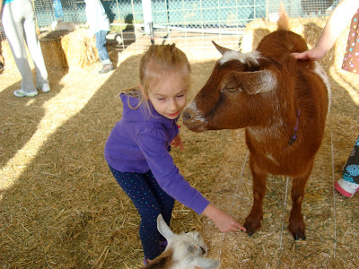 Young girl petting goats