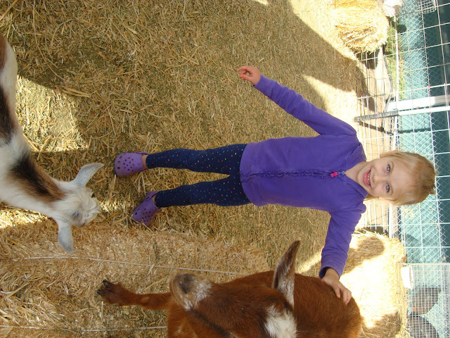 Young girl standing with hand on goat smiling