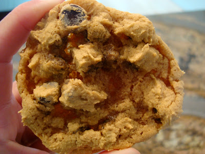 Hand holding one Vegan GF Peanut Butter Caramel Chocolate Chip Cookie with Peanut Flour
