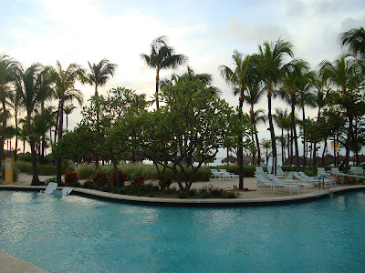 Pool surrounded by palm trees