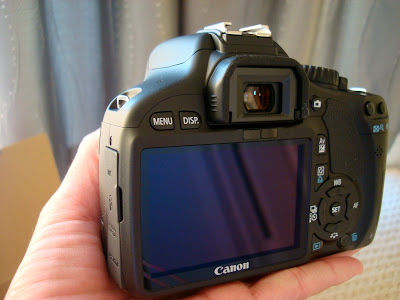 Hand holding camera showing back digital display