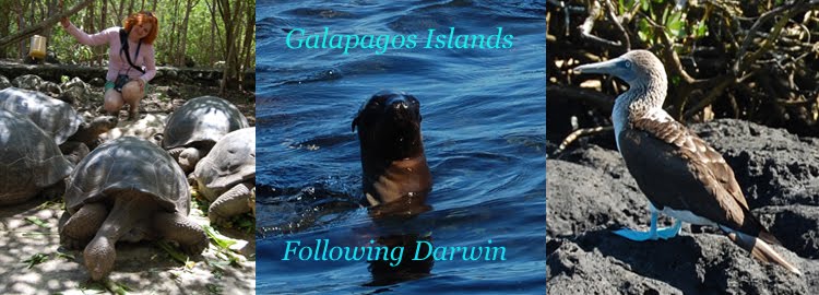 Galapagos Islands