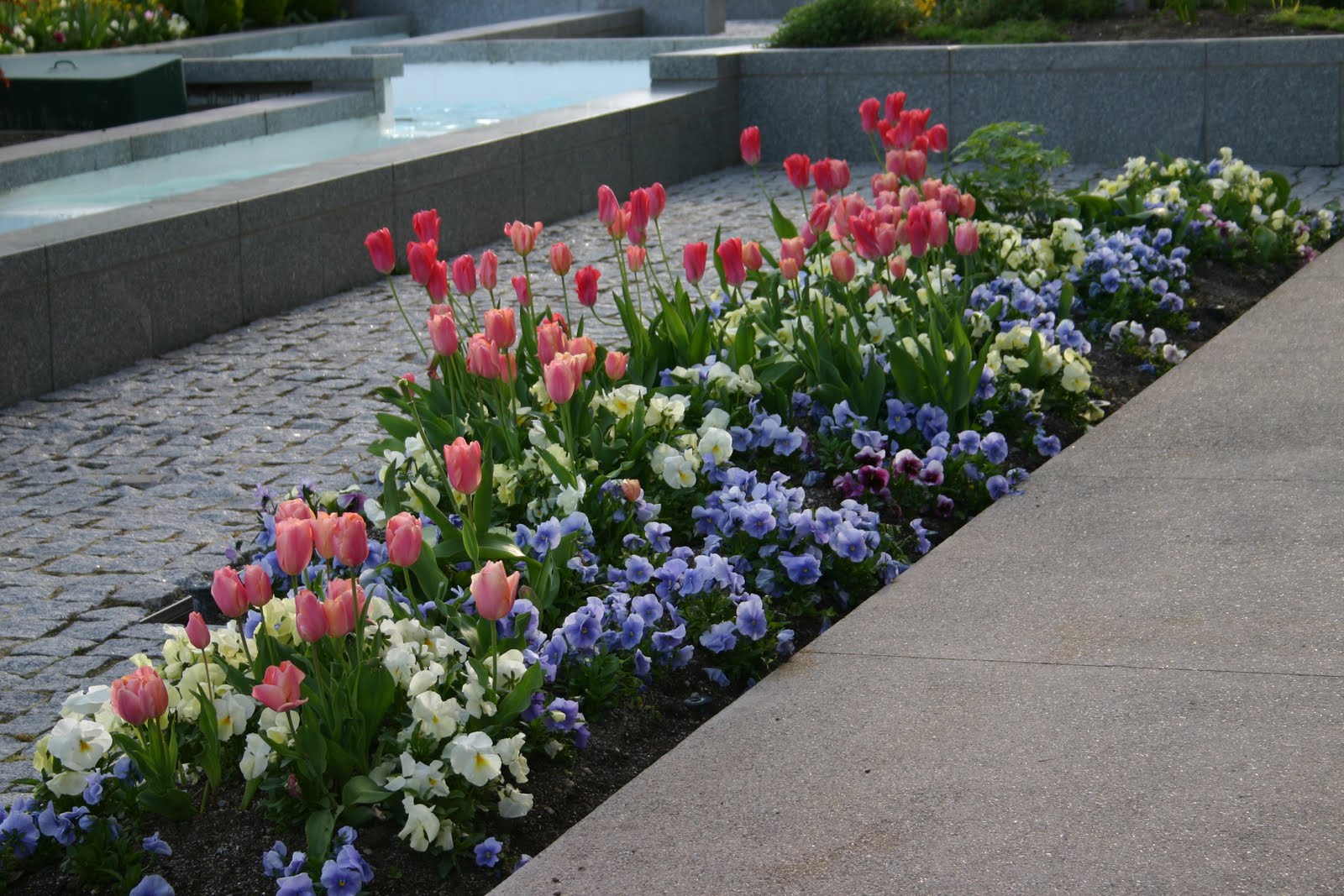 flower-beds-at-temple-square-sowing-the-seeds