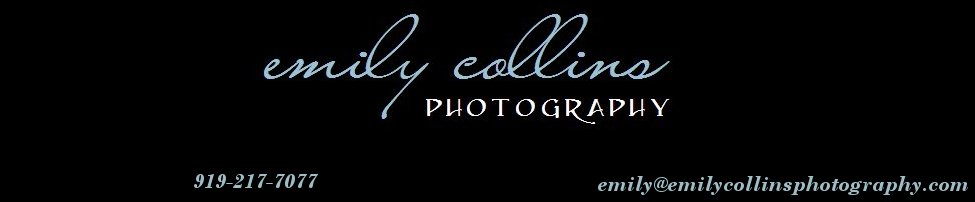 Emily Collins Photography, Inc. Blog