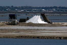 Salinas de lujo