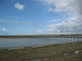 Puente sobre el Río San Pedro