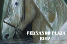 WEB:  FERNANDO PLAZA RUIZ