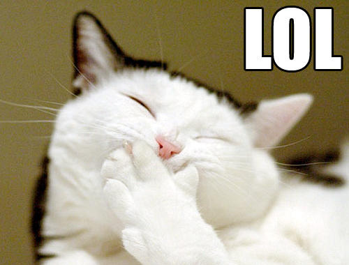 image: lol_cat-12926