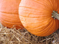 pumpkins austin copyright kerry dexter