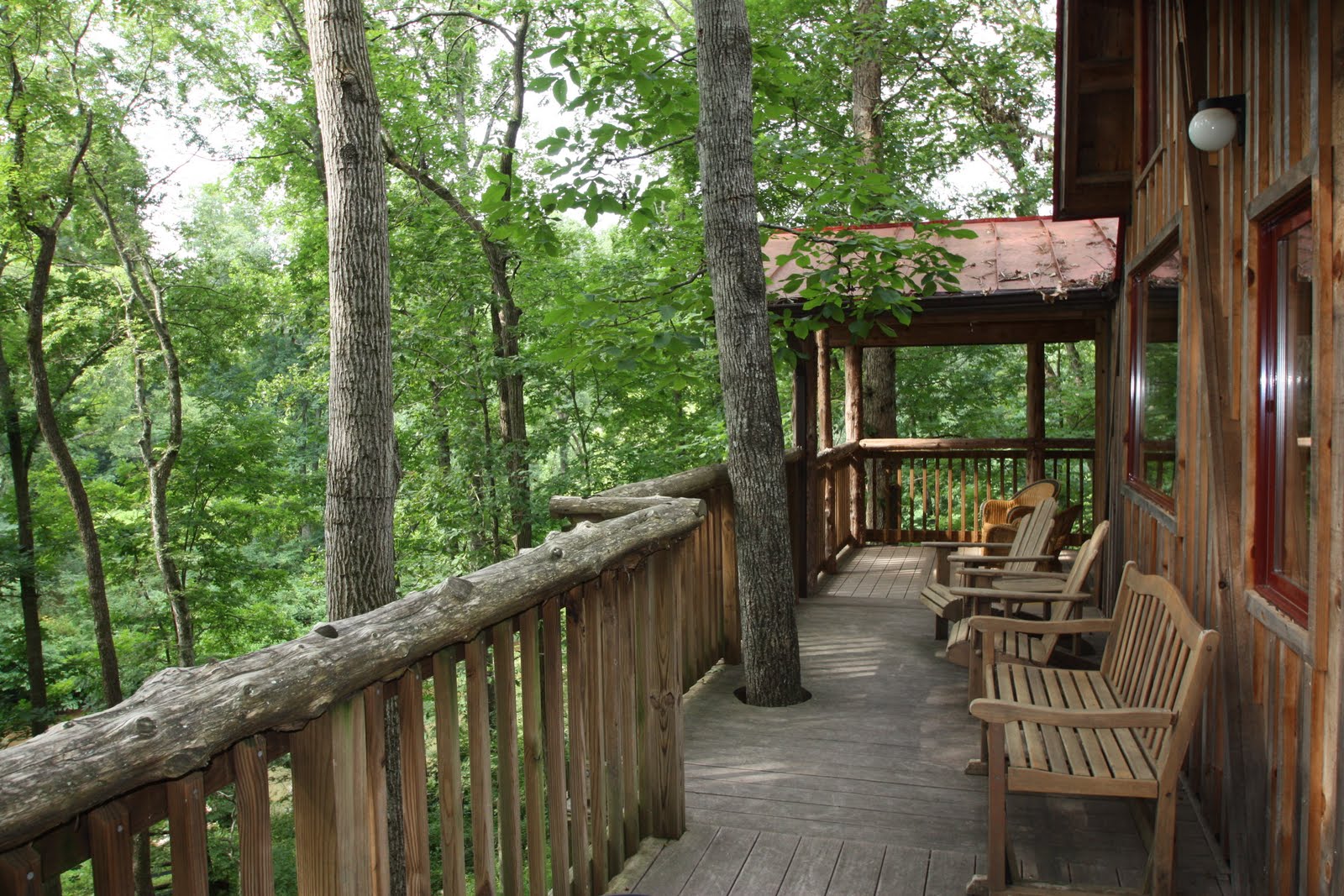 The Farm Stay Project Brightwood Vineyard and Farm