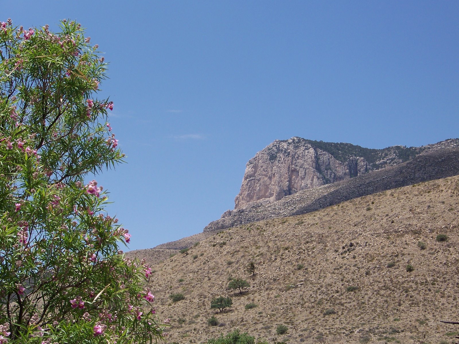 [May+24,+2009+Guadalupe+Mountains+National+Park+046.jpg]