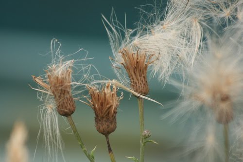 [IMG_4358.JPG]