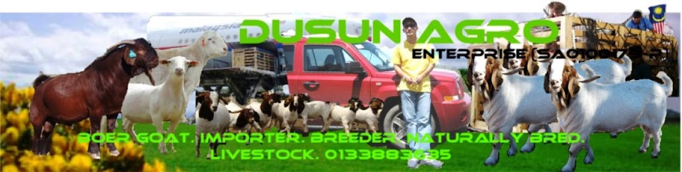 DUSUN AGRO enterprise (SA0100179-P)