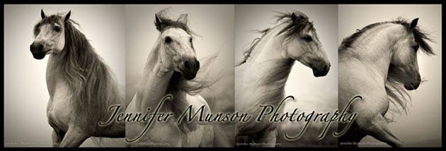 Jennifer Munson Photography