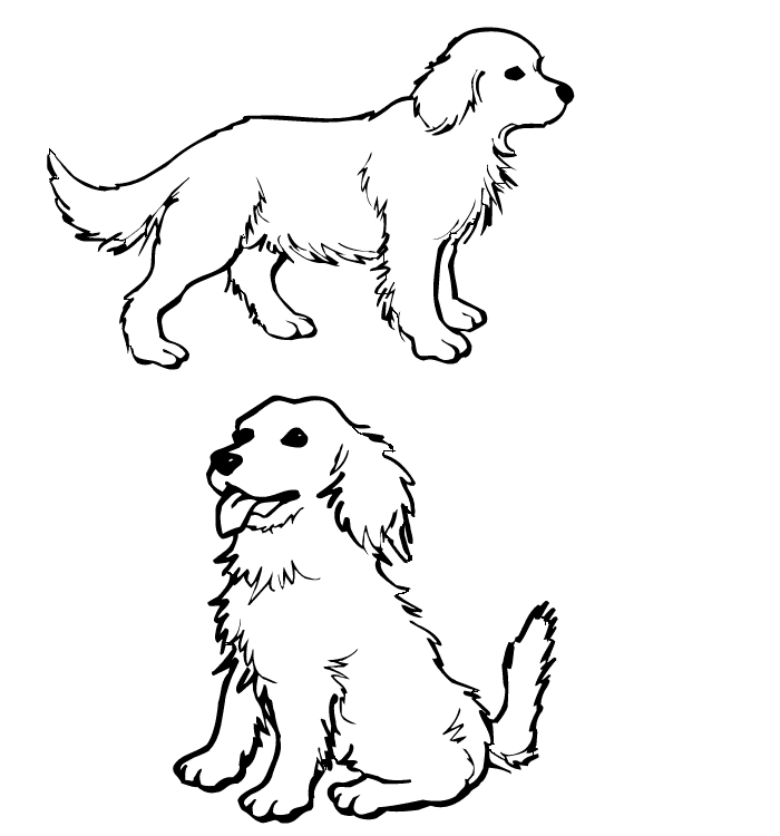 Animal Coloring Funny and Cute Dog Coloring Pages