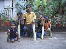 WHEN GET A CHANCE TO PLAY CRICKET