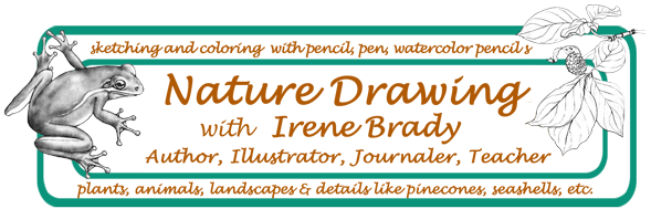 Nature Drawing and Journaling Trips 