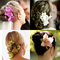 Beach Wedding Hairstyles