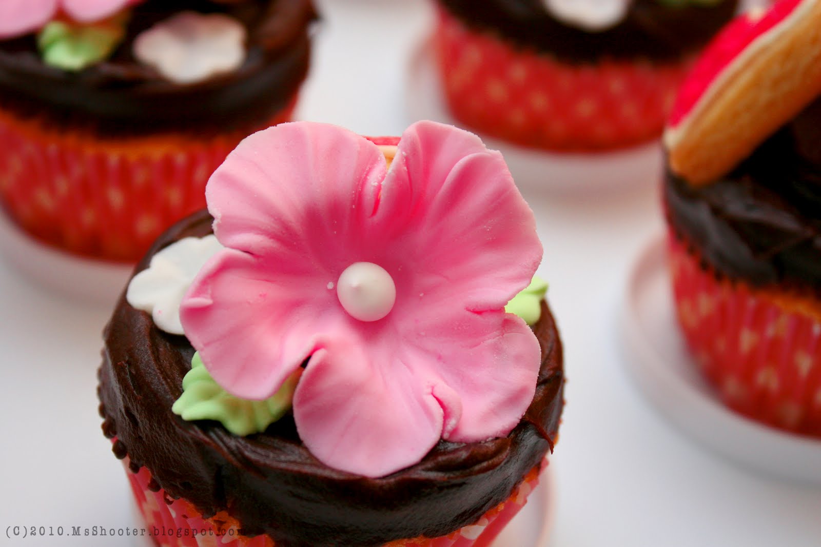 Vanilla Kitchen .Mother's Day Cupcakes Chocolate Butterfly Cupcakes.