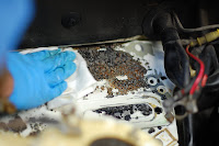 Reggies MotorWorks | Repairing BMW, Audi, Mercedes