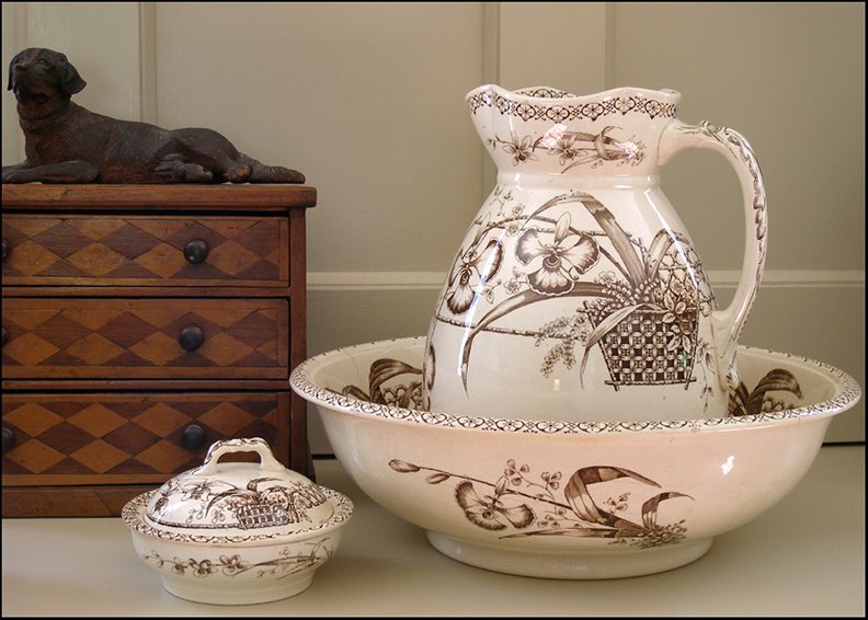 [orchidtransferware.jpg]