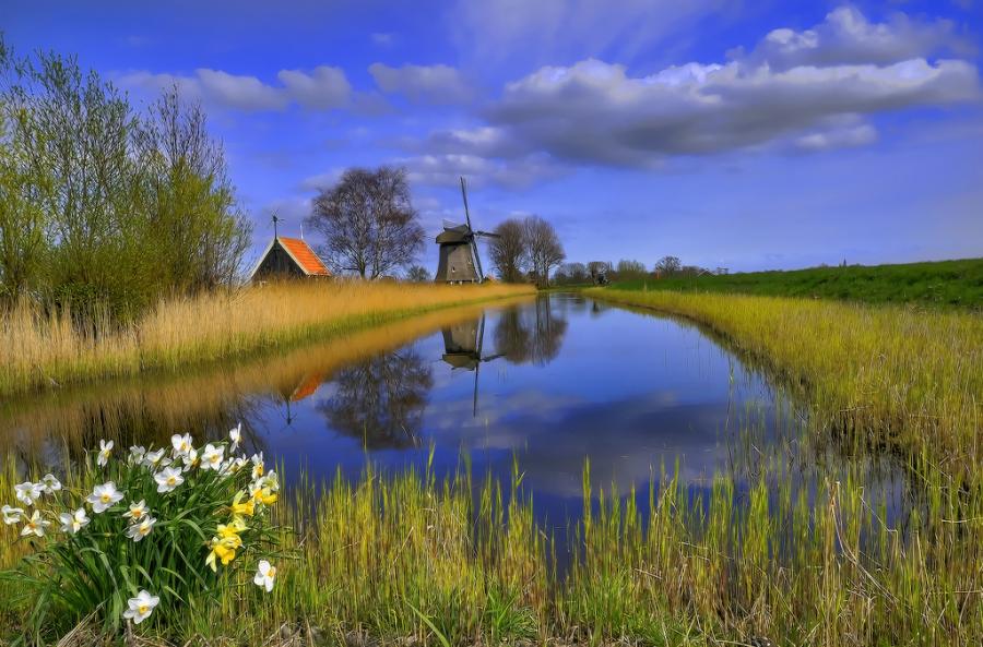 Content in a Cottage Holland Landscape with Windmill and Flowers