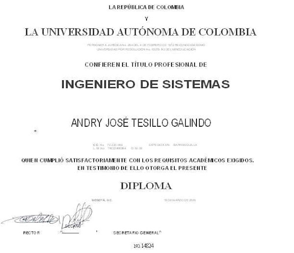 TITULO PROFESIONAL