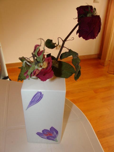 [DSC09702.JPG]
