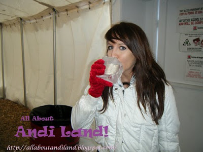 All About Andi Land!