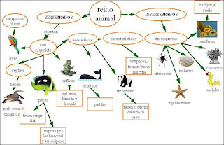 AMO A LOS ANIMALES: CLASIFICACION DE LOS ANIMALES