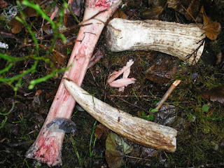 http://livingprimitively.com/: Hide flesher
