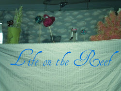 Life on the Reef